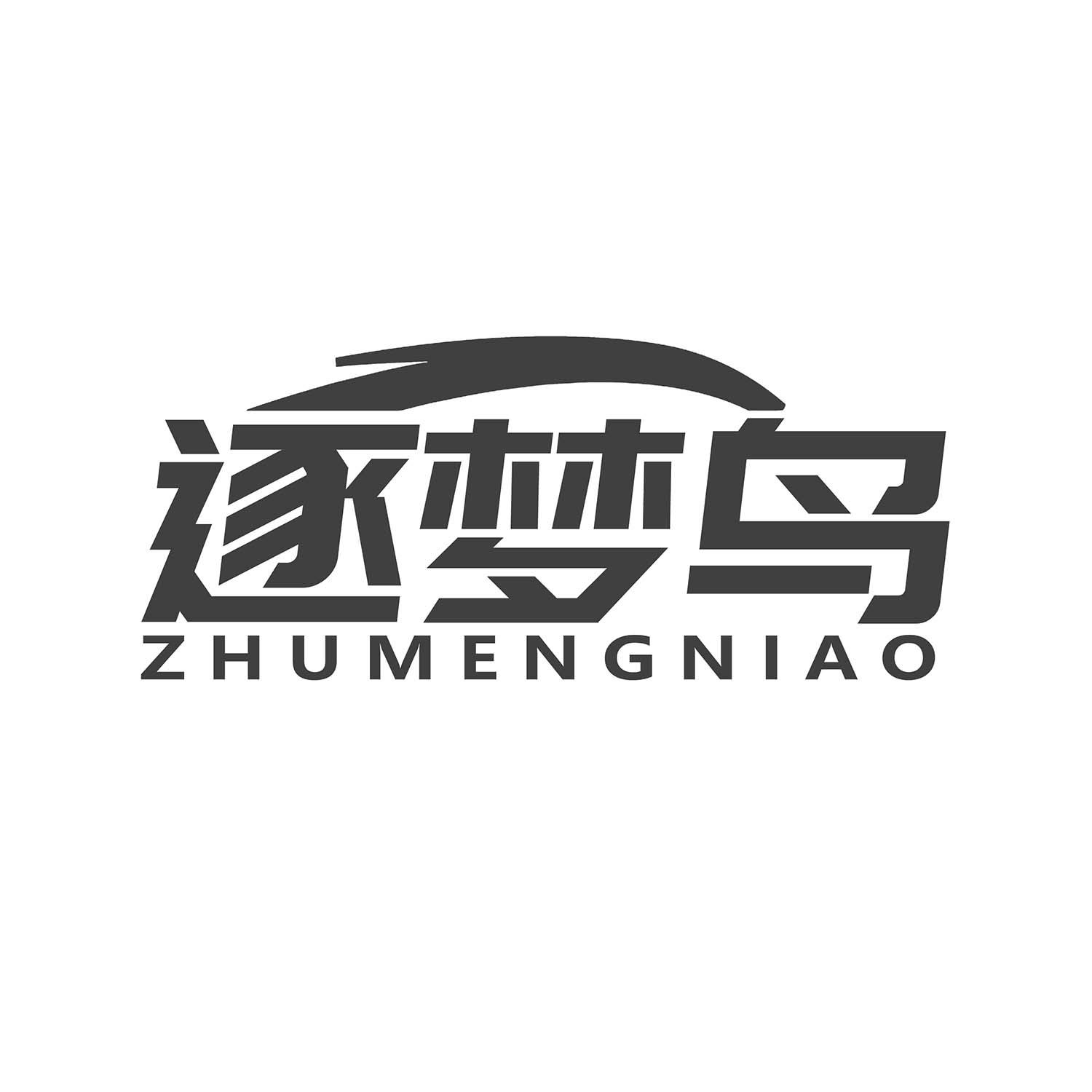 逐梦鸟