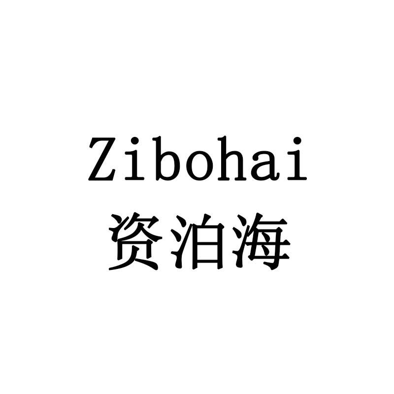 资泊海
