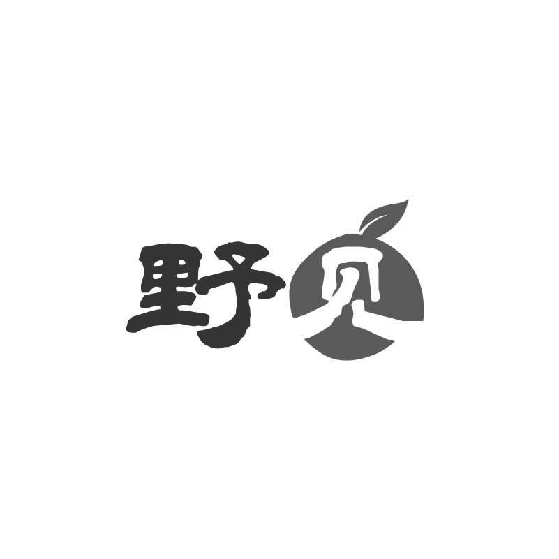 野见