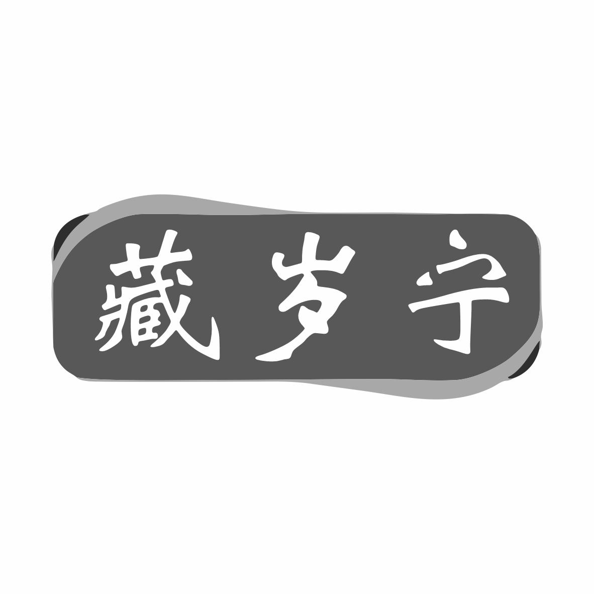 藏岁宁