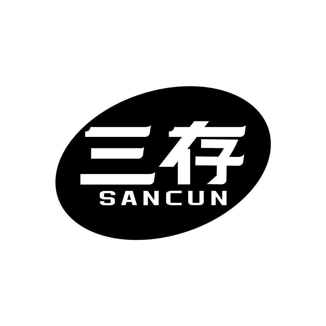 三存