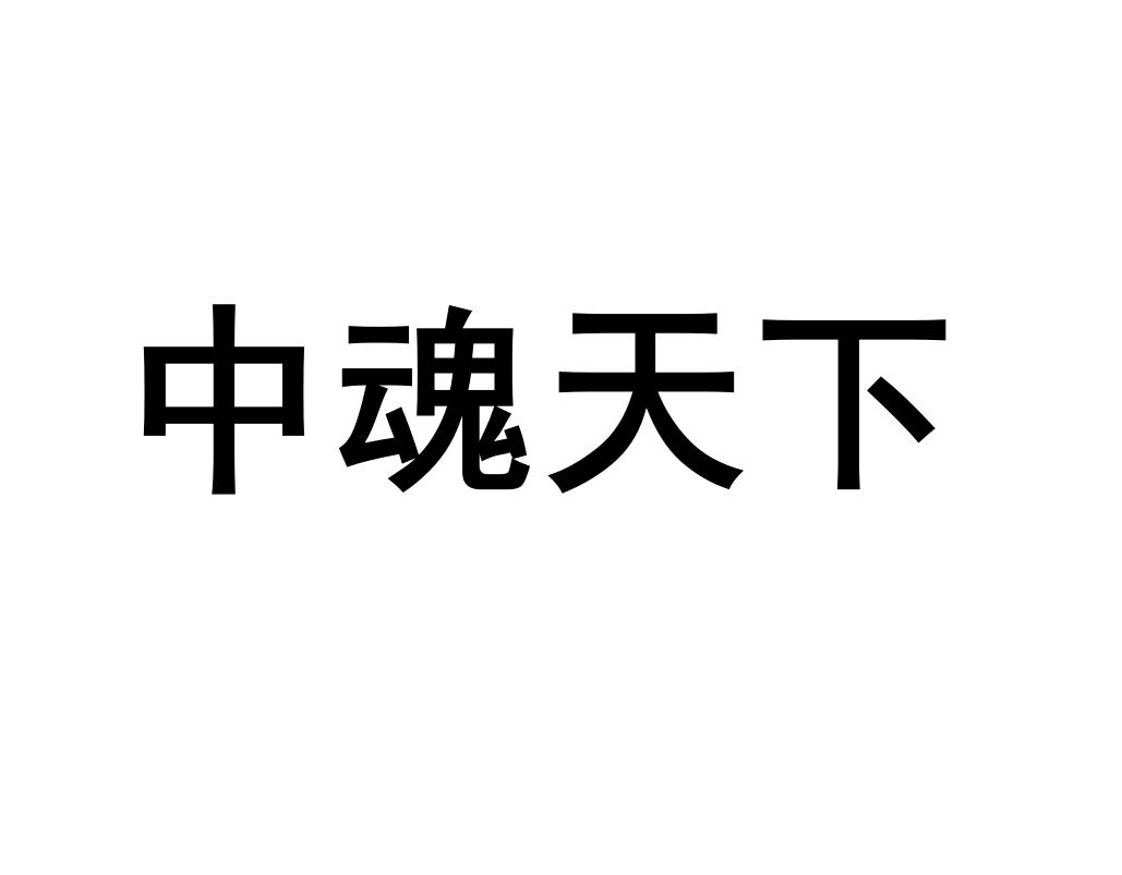 中魂天下