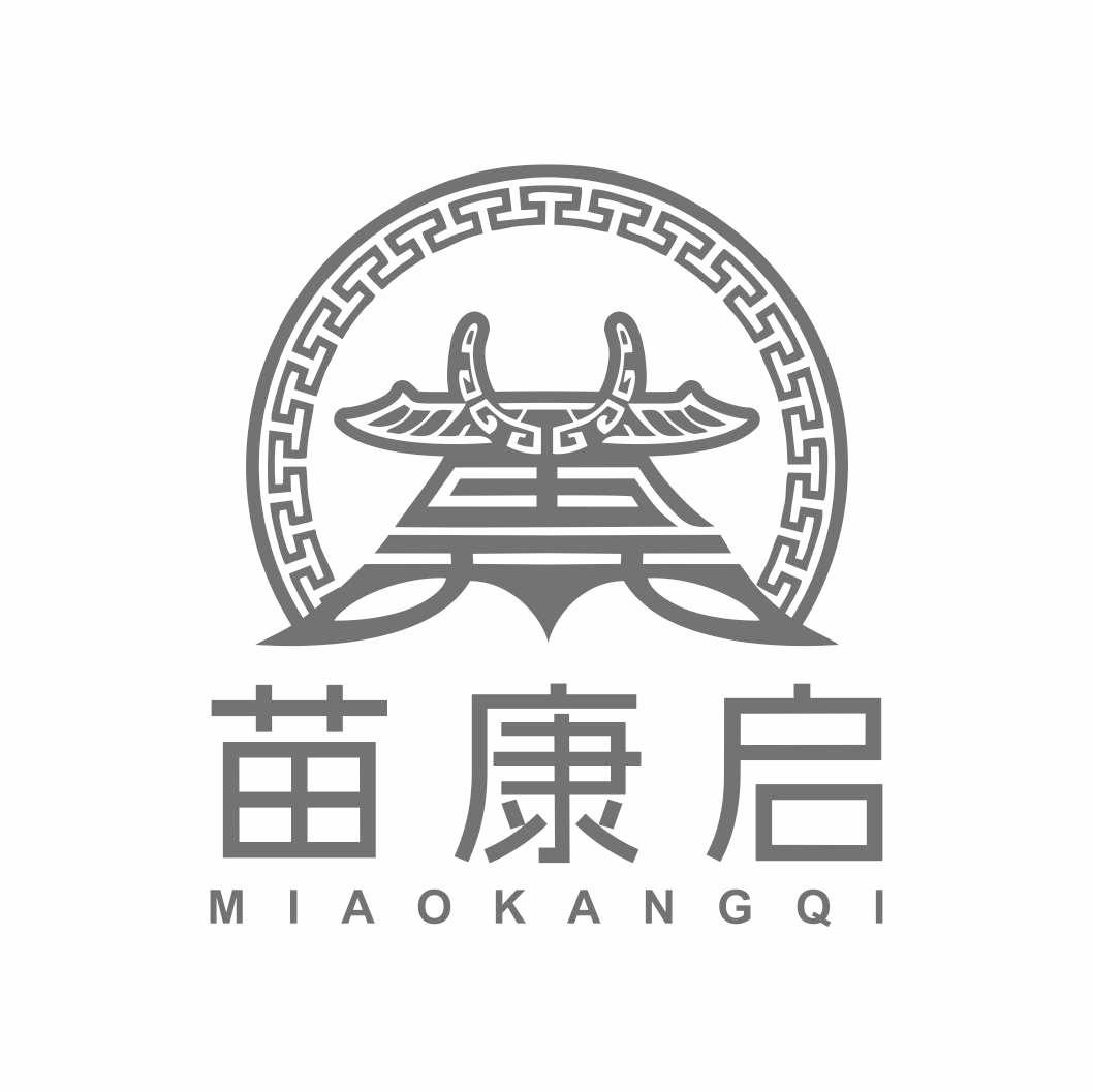 苗康启