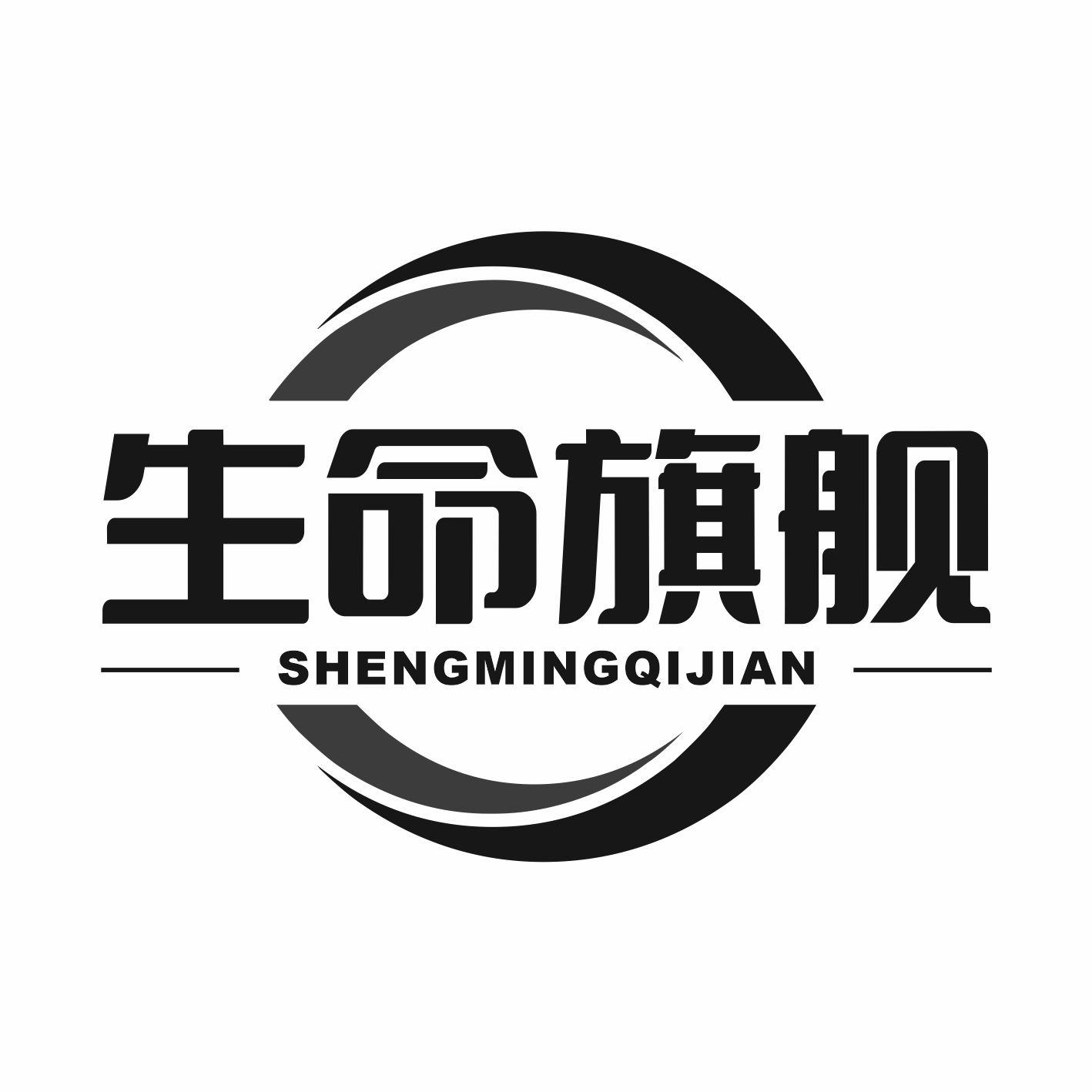 生命旗舰