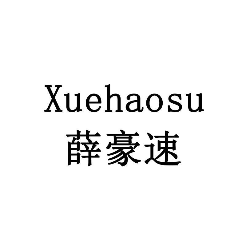 薛豪速