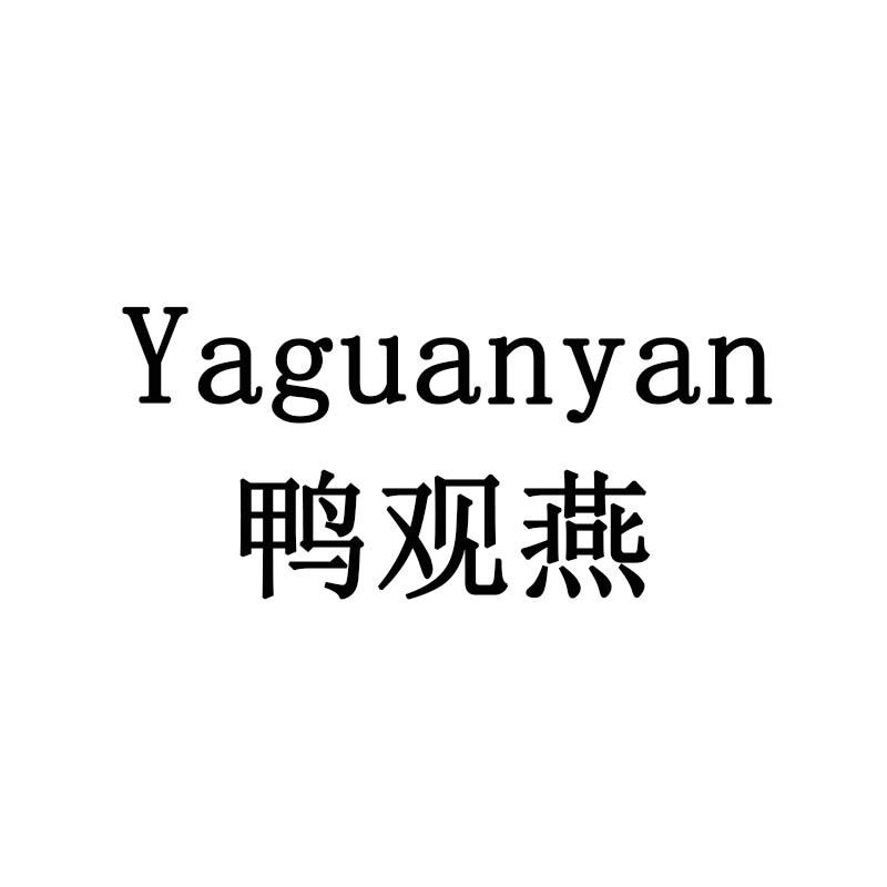 鸭观燕