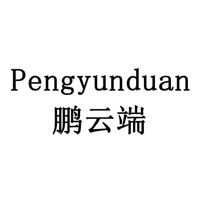鹏云端
