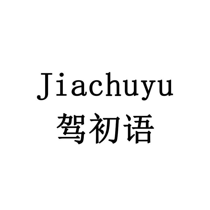 驾初语