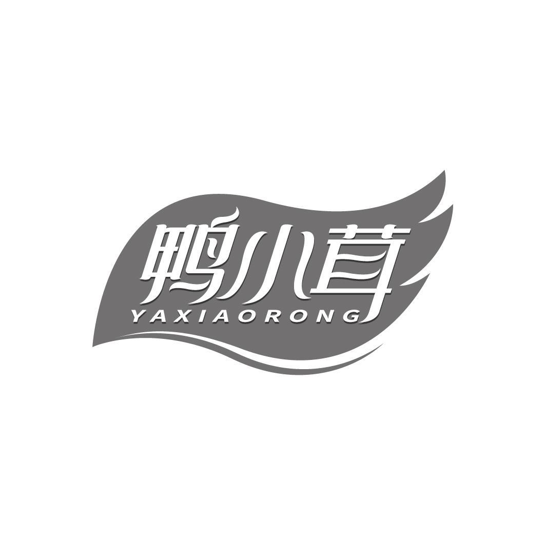 鸭小茸