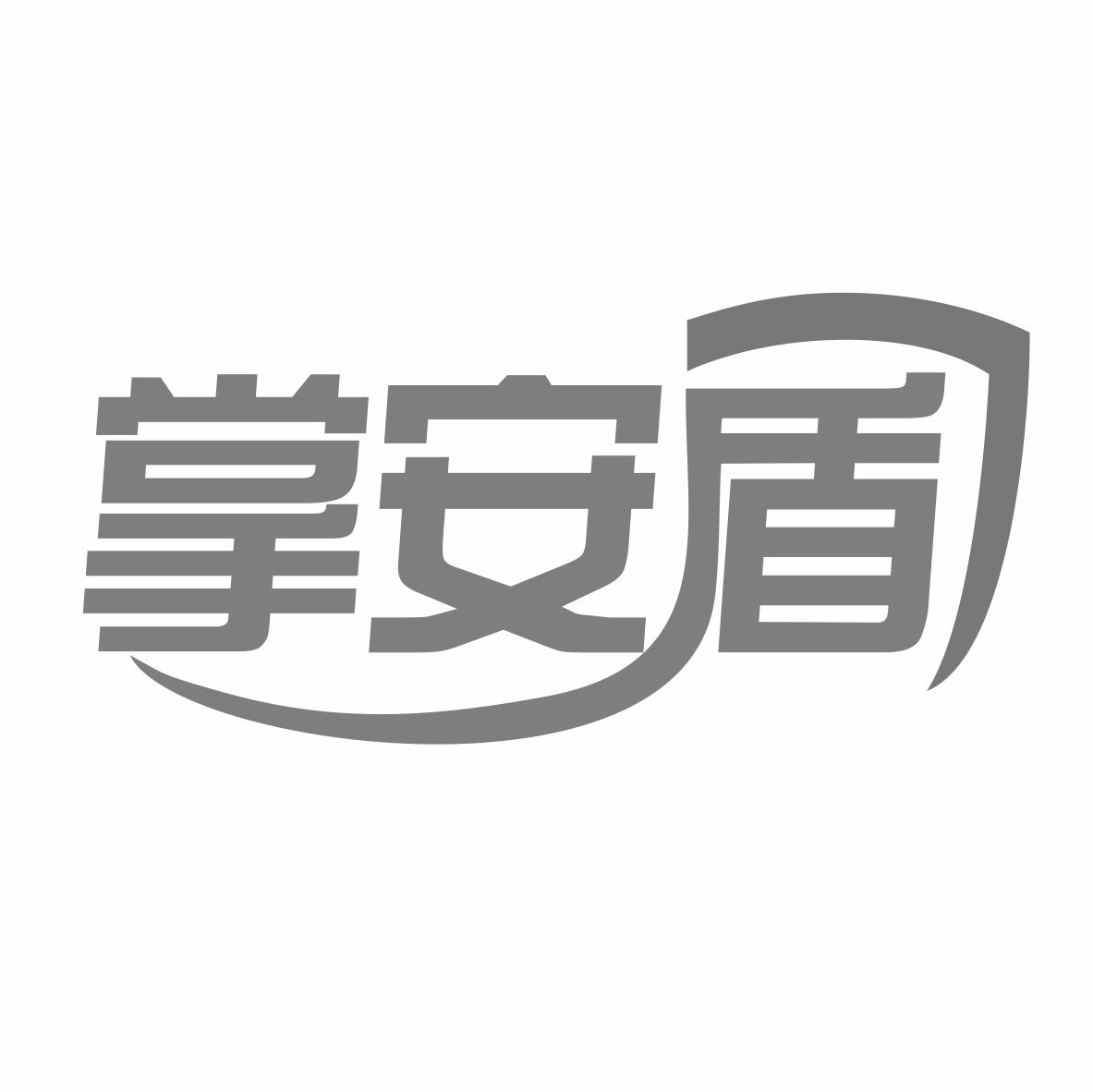 掌安盾