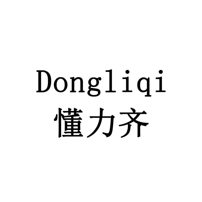 懂力齐