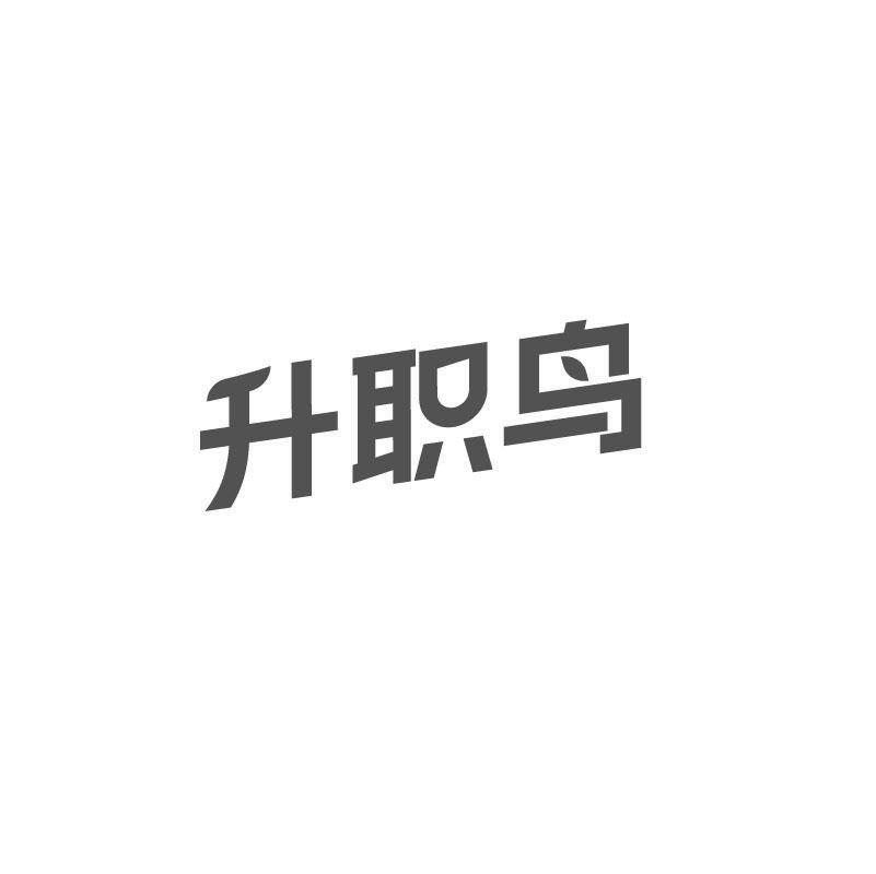升职鸟