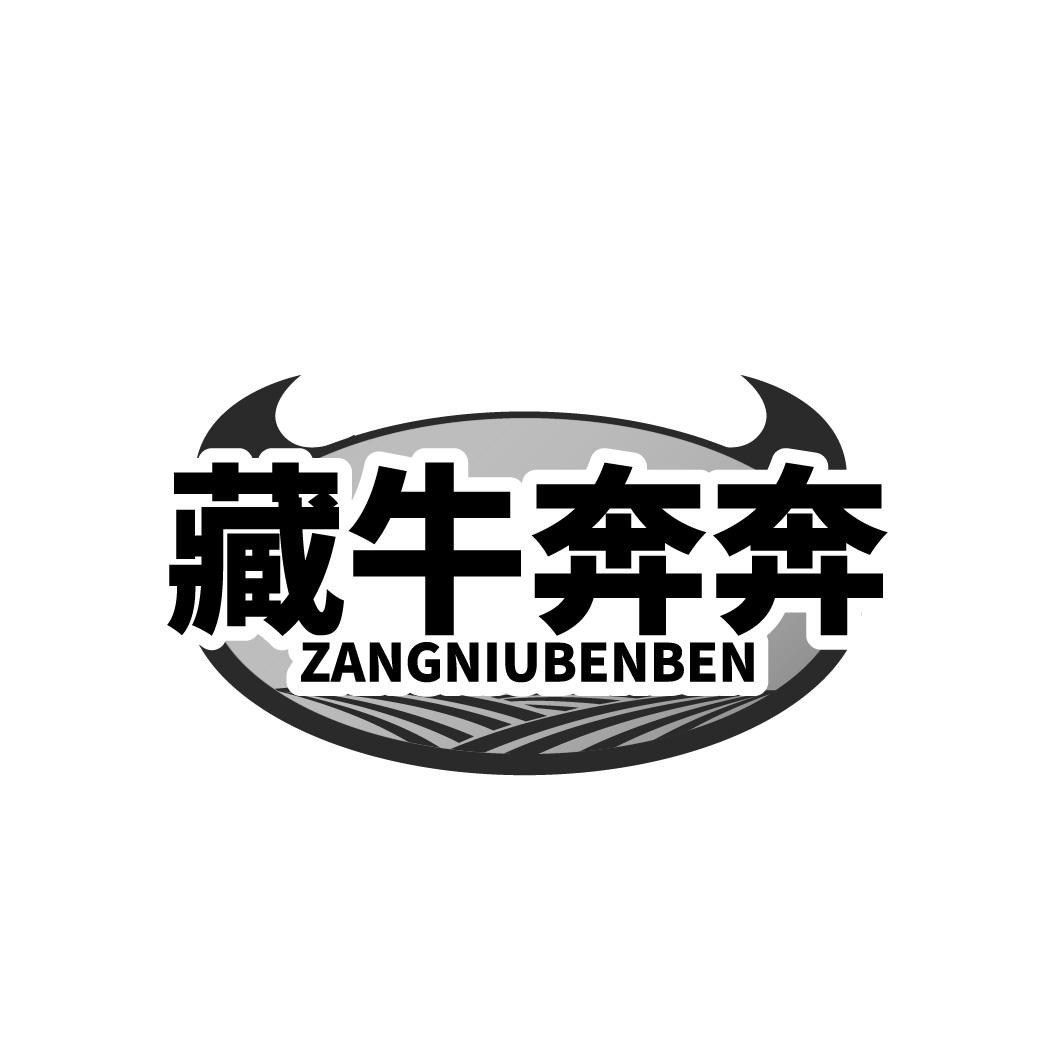藏牛奔奔