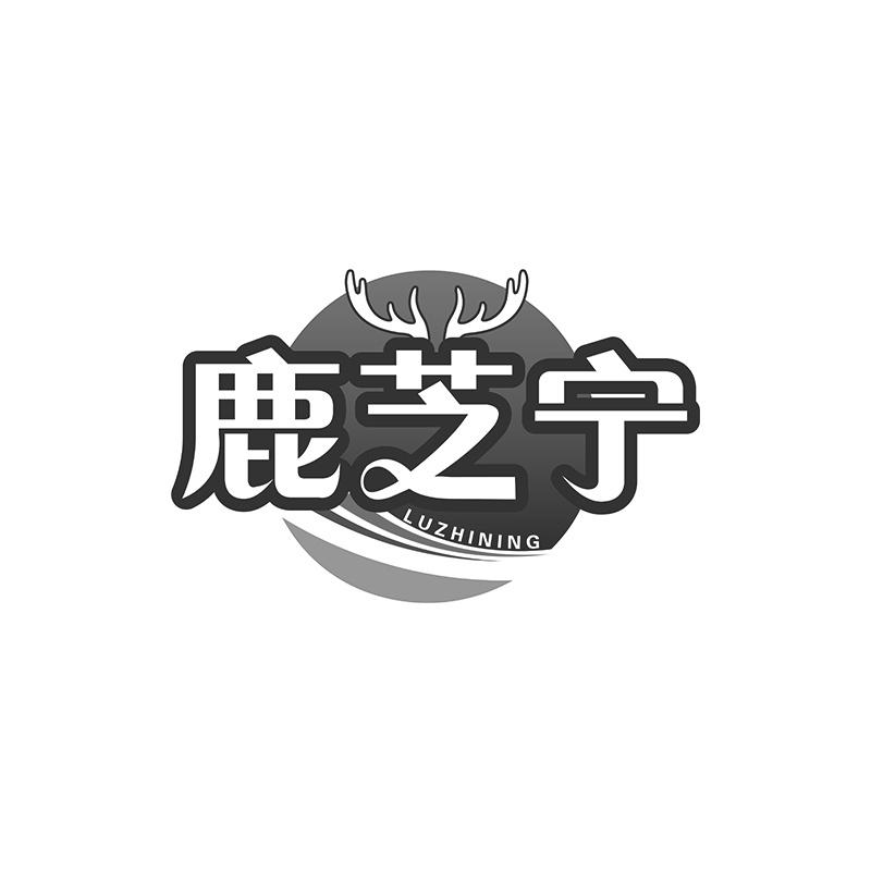 鹿芝宁