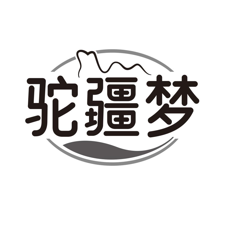 驼疆梦