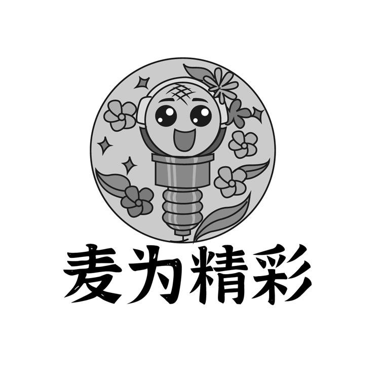 麦为精彩