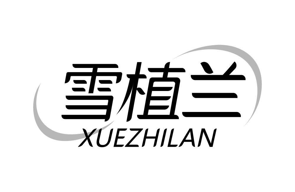 雪植兰