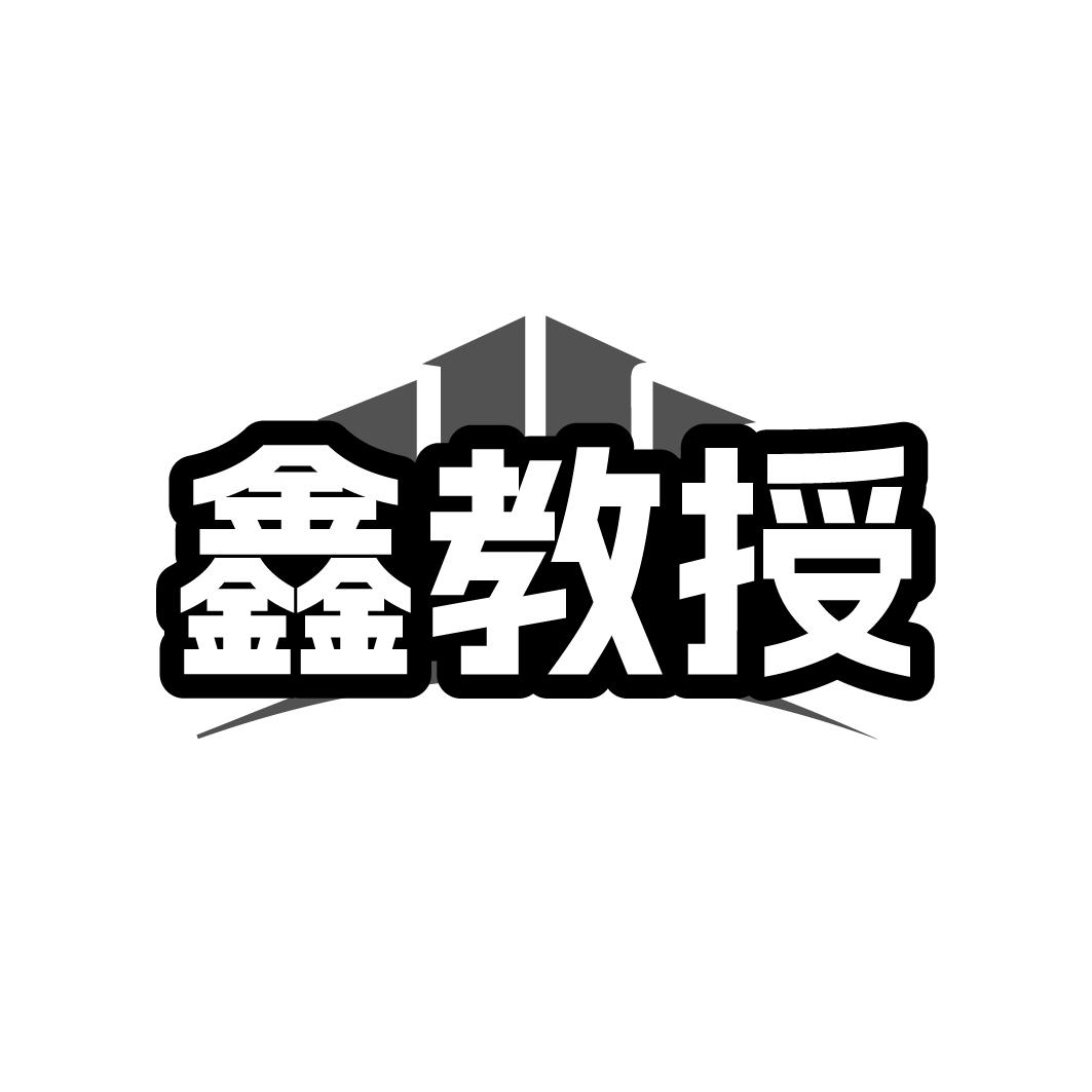 鑫教授
