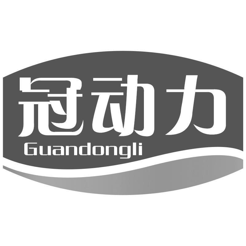 冠动力