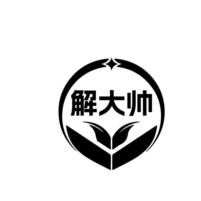 解大帅