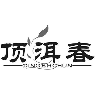 顶洱春