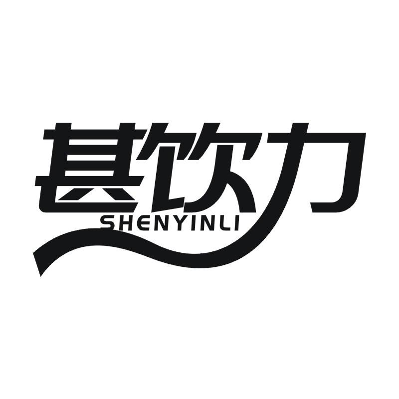 甚饮力