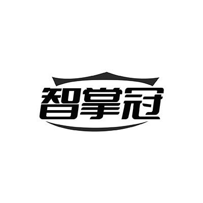 智掌冠