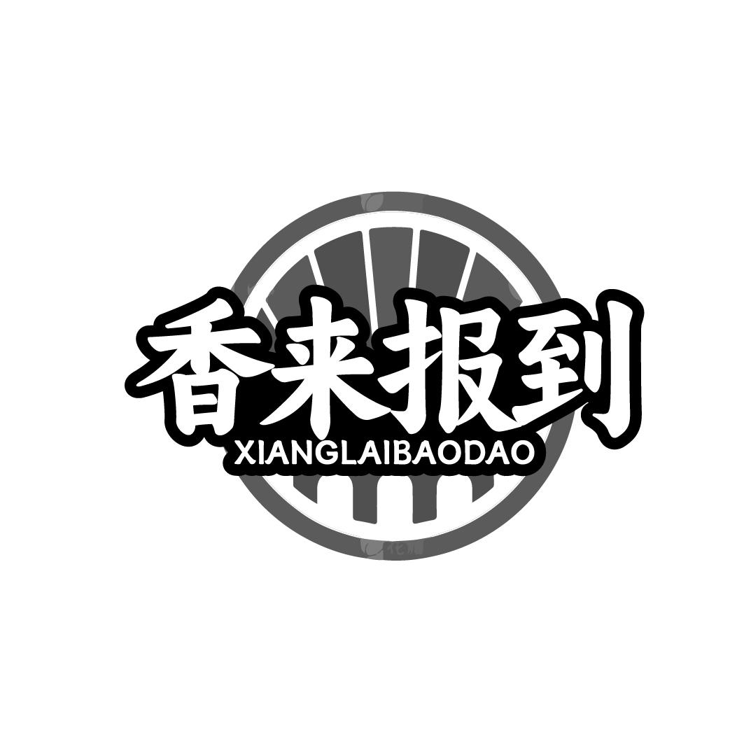 香来报到