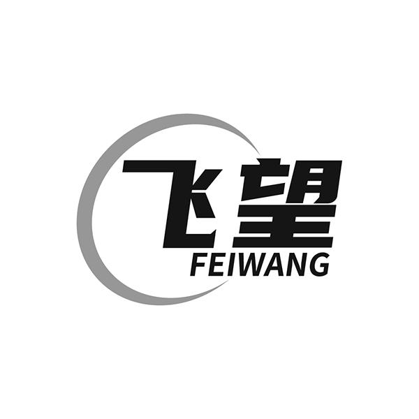 飞望