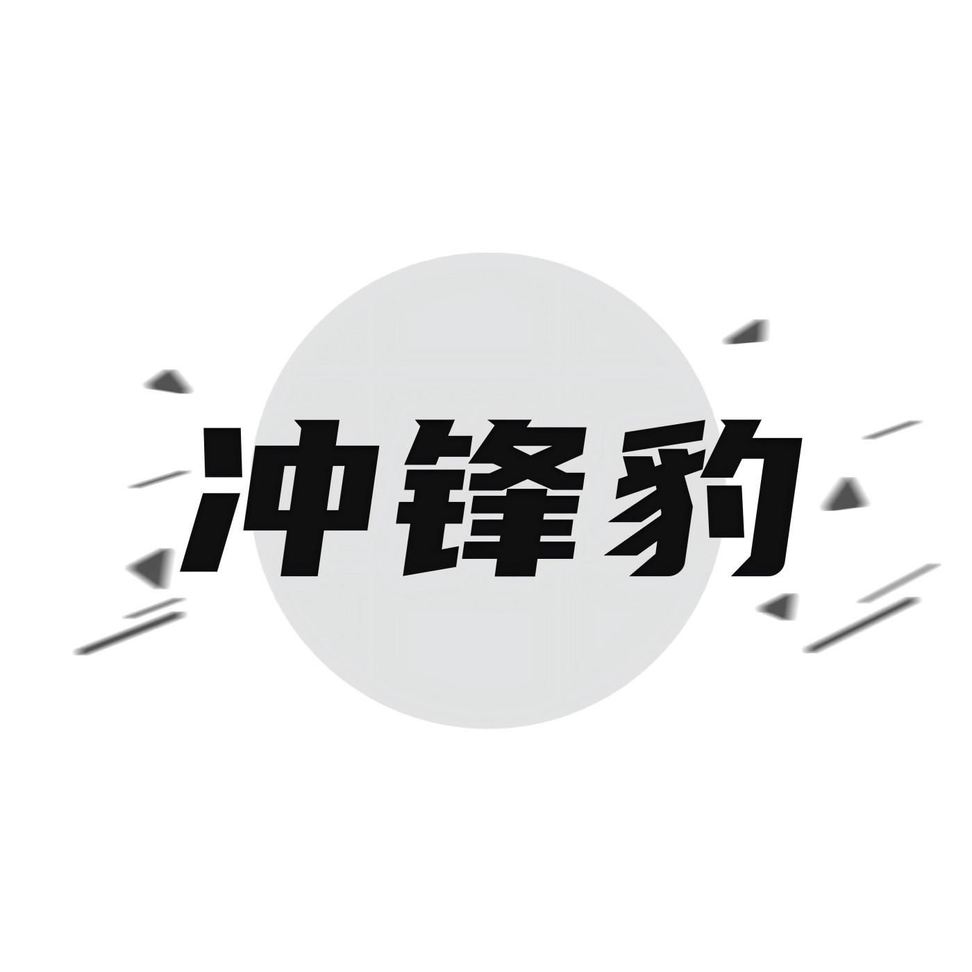 冲锋豹
