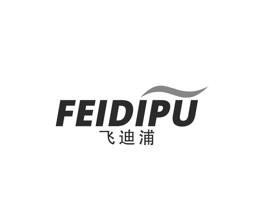 飞迪浦