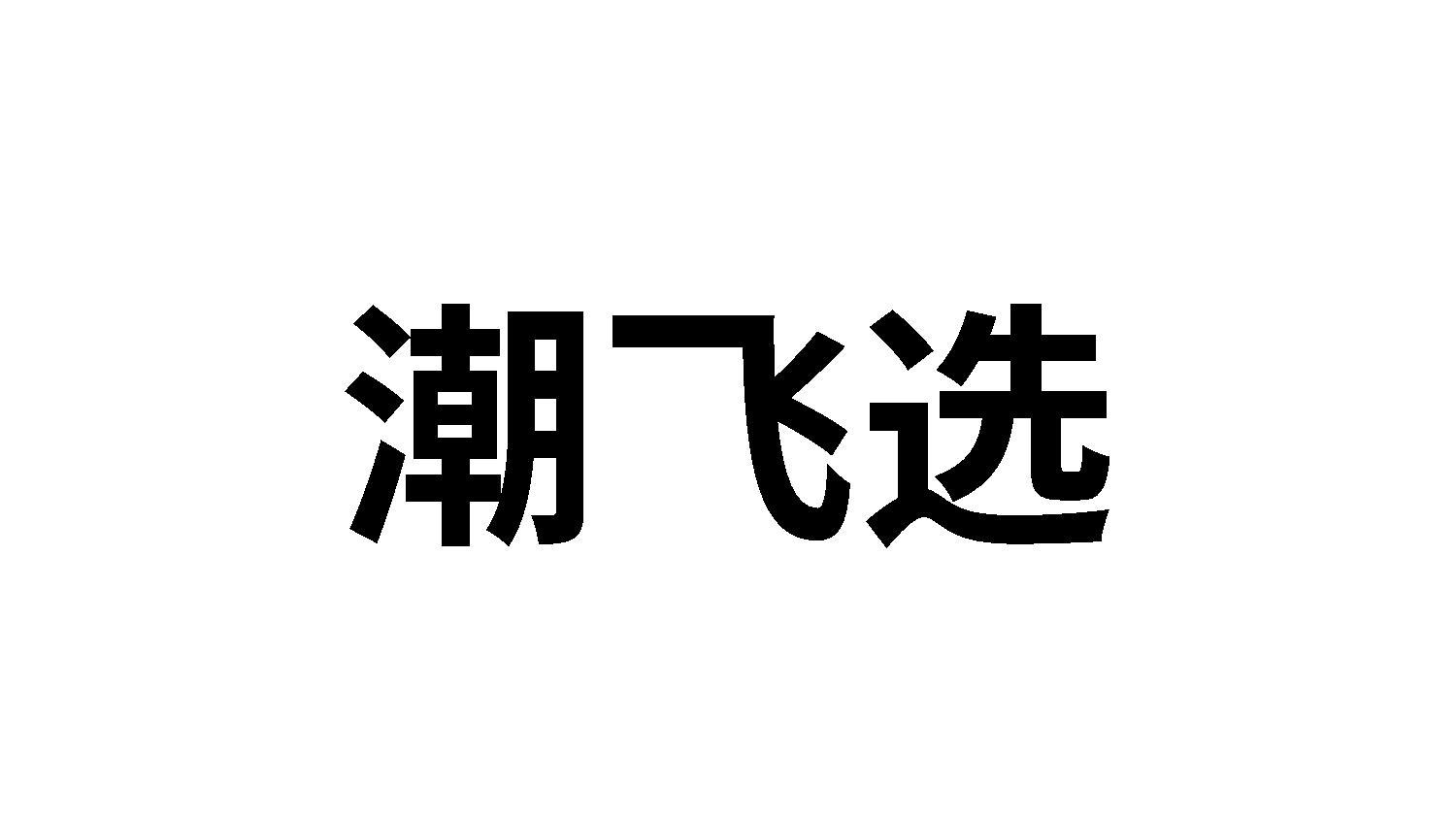 潮飞选
