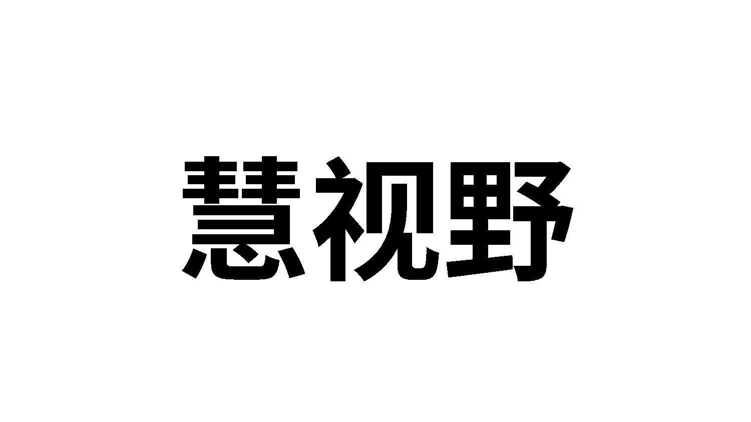 慧视野