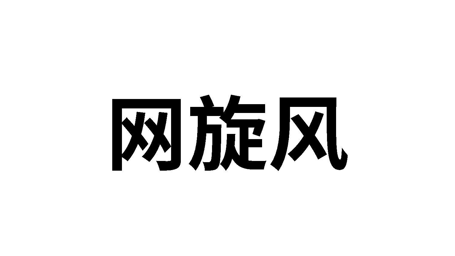网旋风