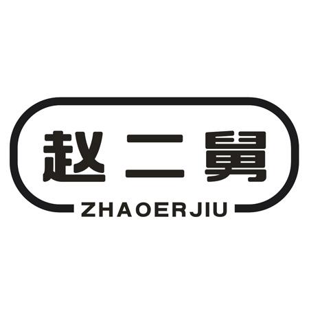 赵二舅