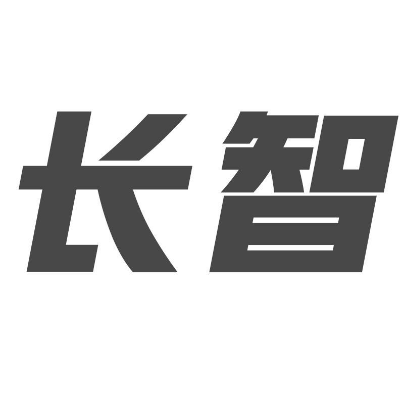 长智