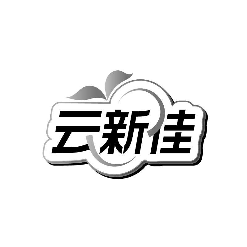 云新佳