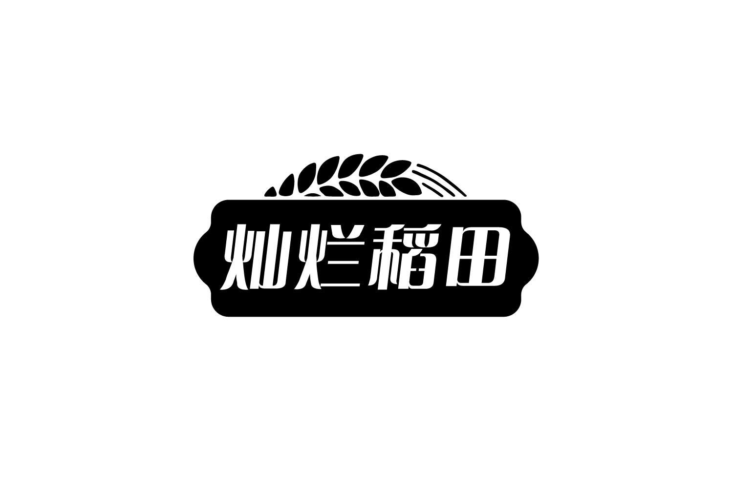 灿烂稻田