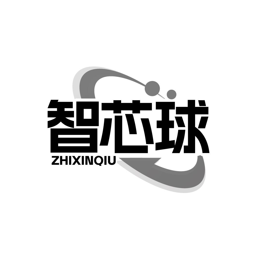 智芯球