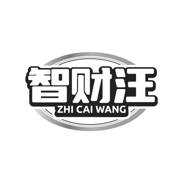 智财汪