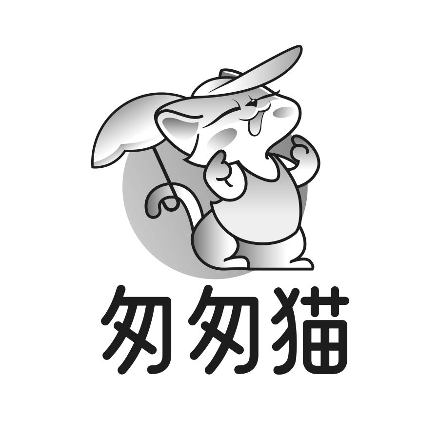 匆匆猫
