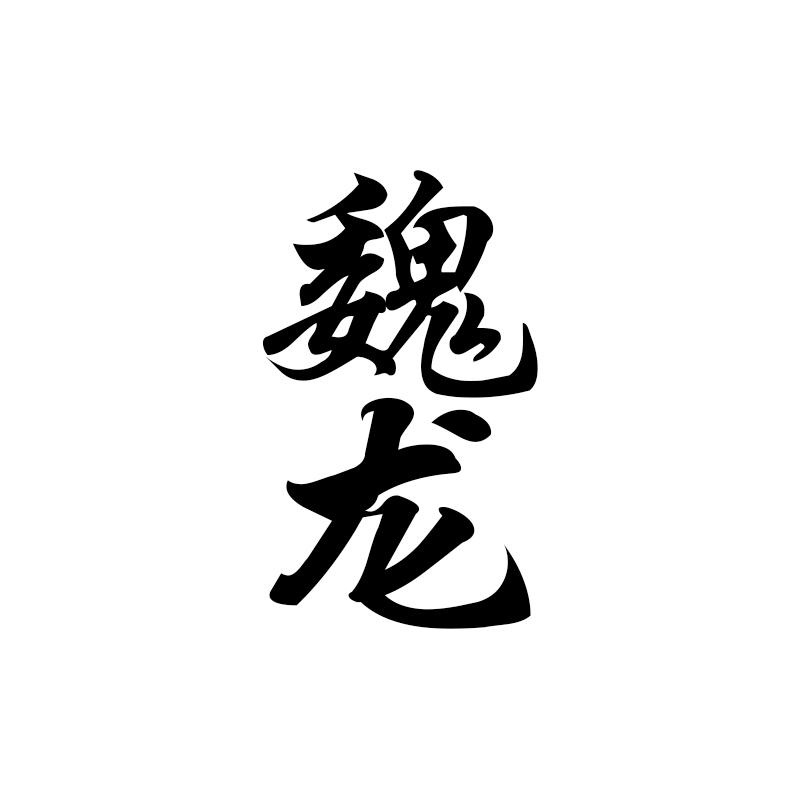 魏龙