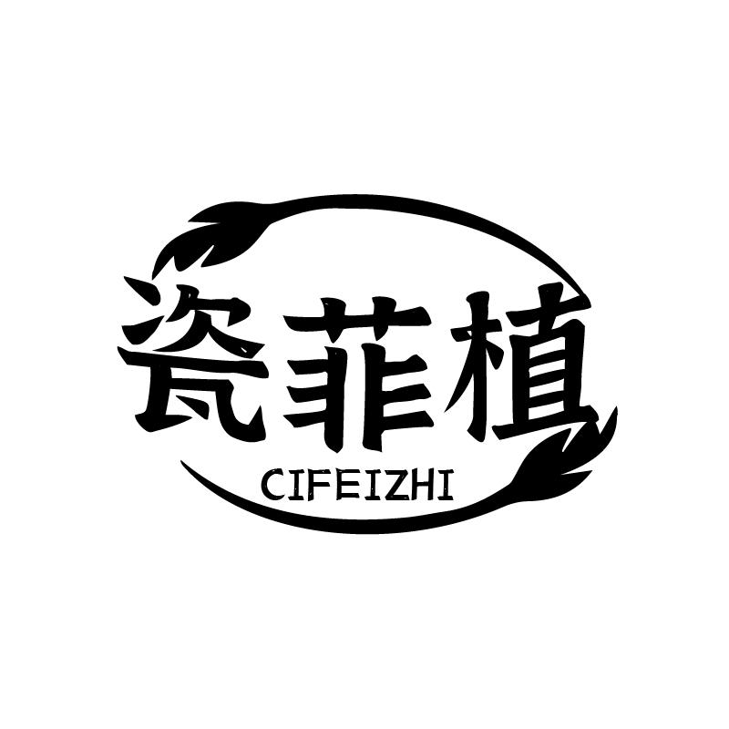 瓷菲植