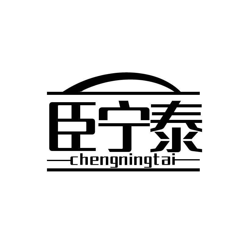 臣宁泰