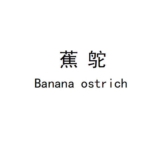 蕉鸵  BANANA OSTRICH