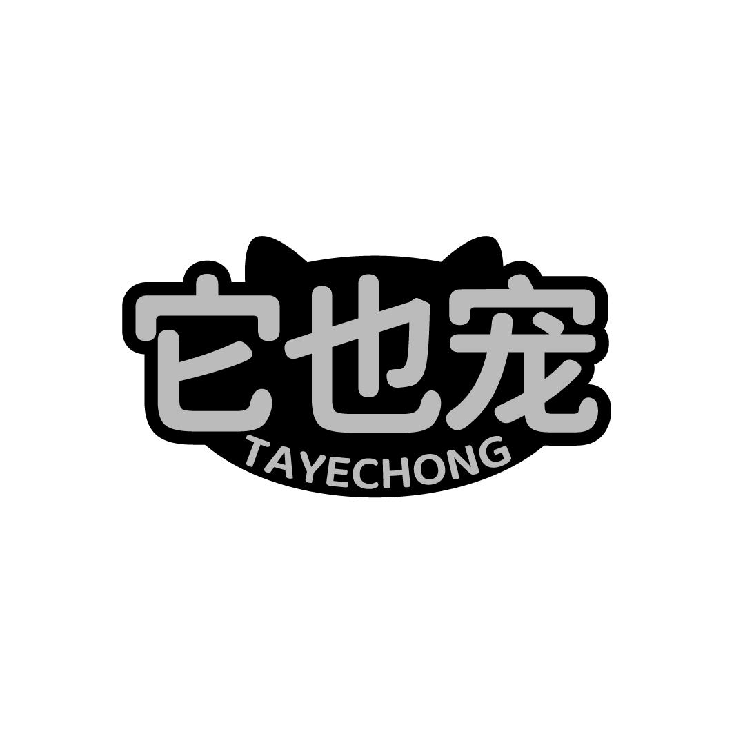 它也宠