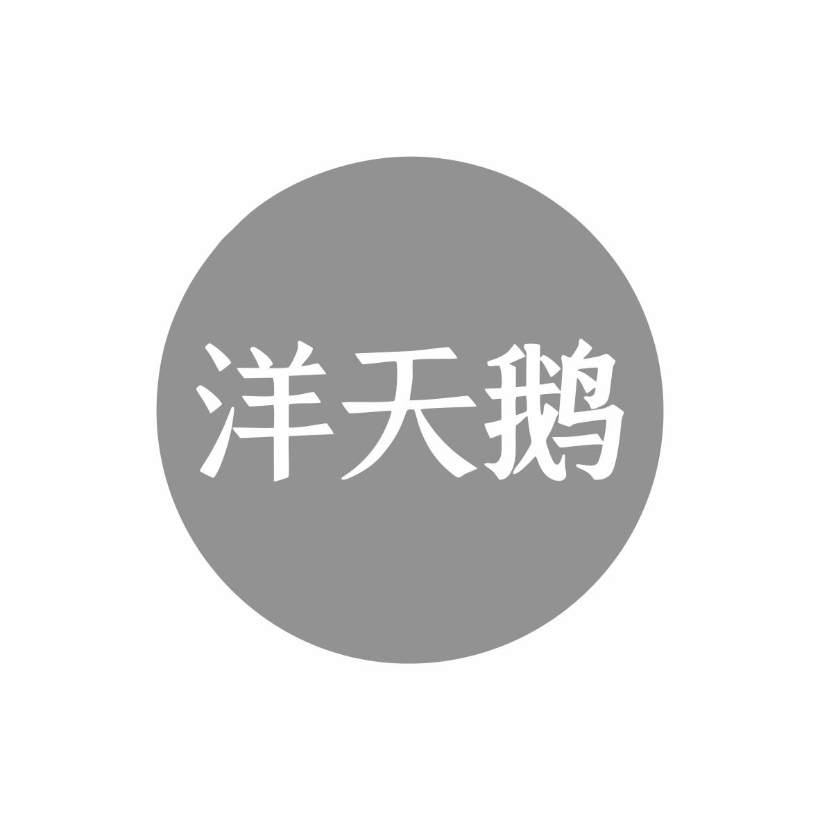 洋天鹅