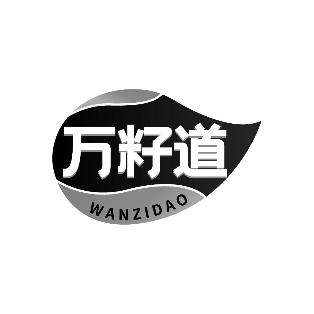 万籽道