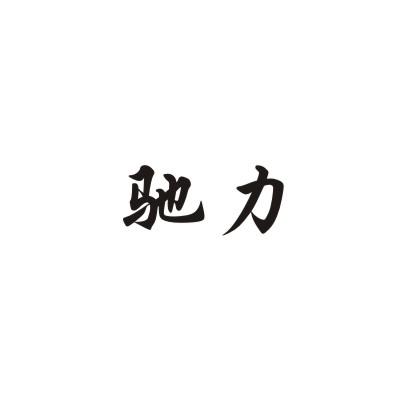 驰力