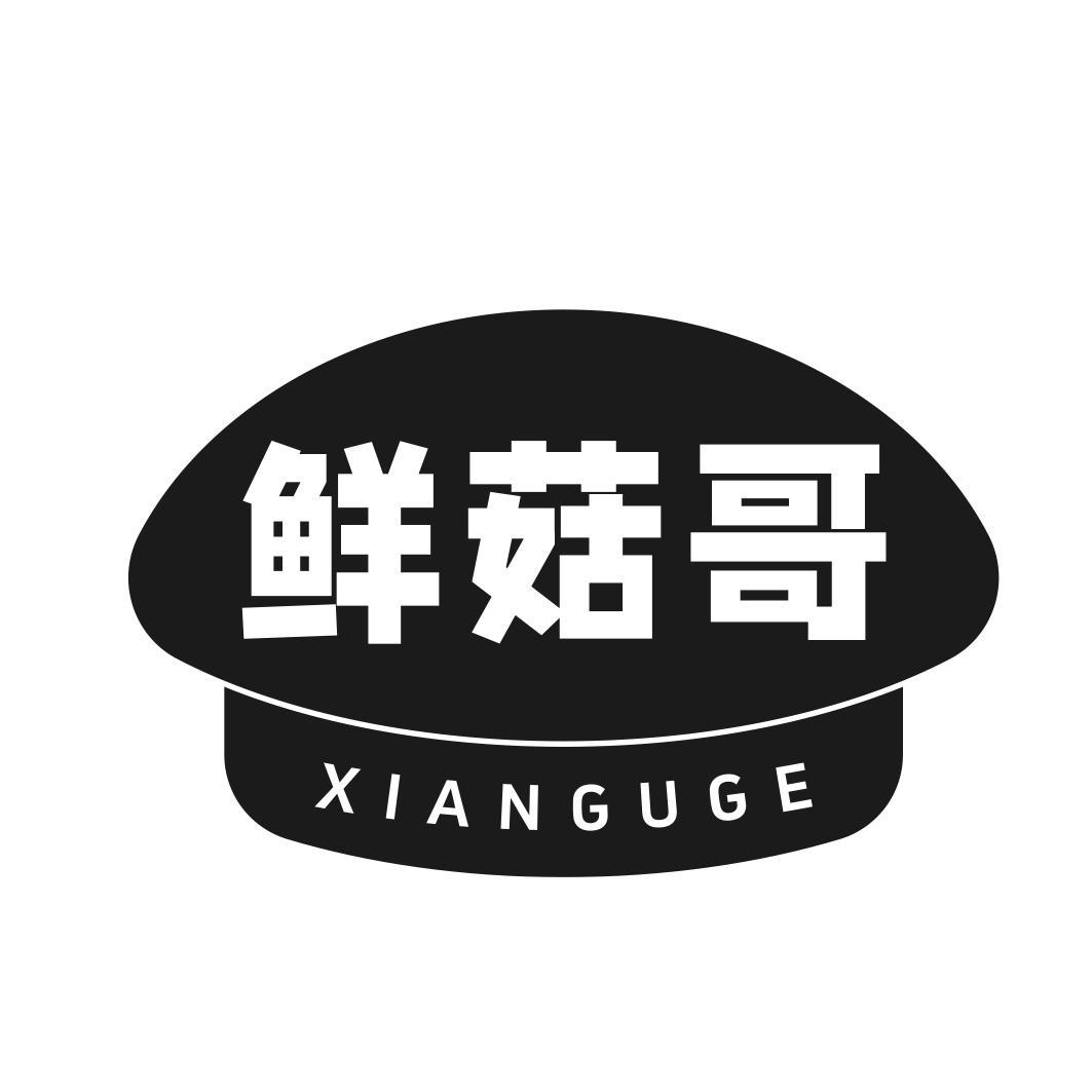 鲜菇哥